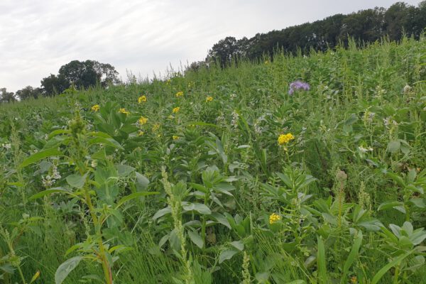 düngungstag Ackerbautag